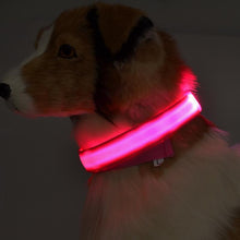 LED Night Safety Glow Collar