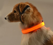 LED Night Safety Glow Collar