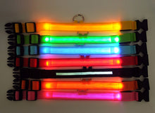 LED Night Safety Glow Collar