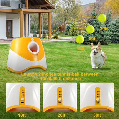 Mister Pet™ Automatic Dog Ball Launcher