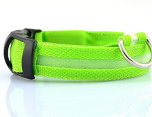 LED Night Safety Glow Collar